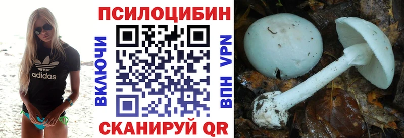 где можно купить   Струнино  Псилоцибиновые грибы MAGIC MUSHROOMS 